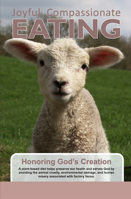 CVA booklet cover